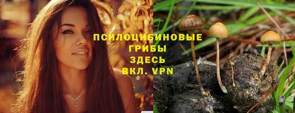 2c-b Алексин